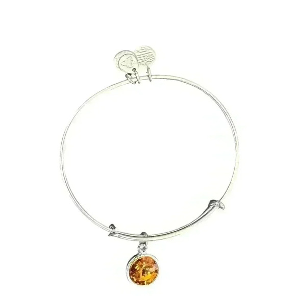 Alex and Ani Raffaelian Silver Expandable November Birthstone Charm Bangle - Picture 3 of 7